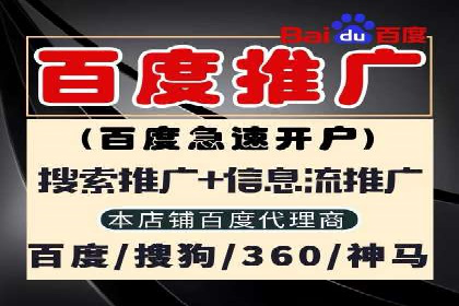 百度竞价排名案例：实战解析如何抢占市场先机